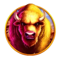 Buffalo
King